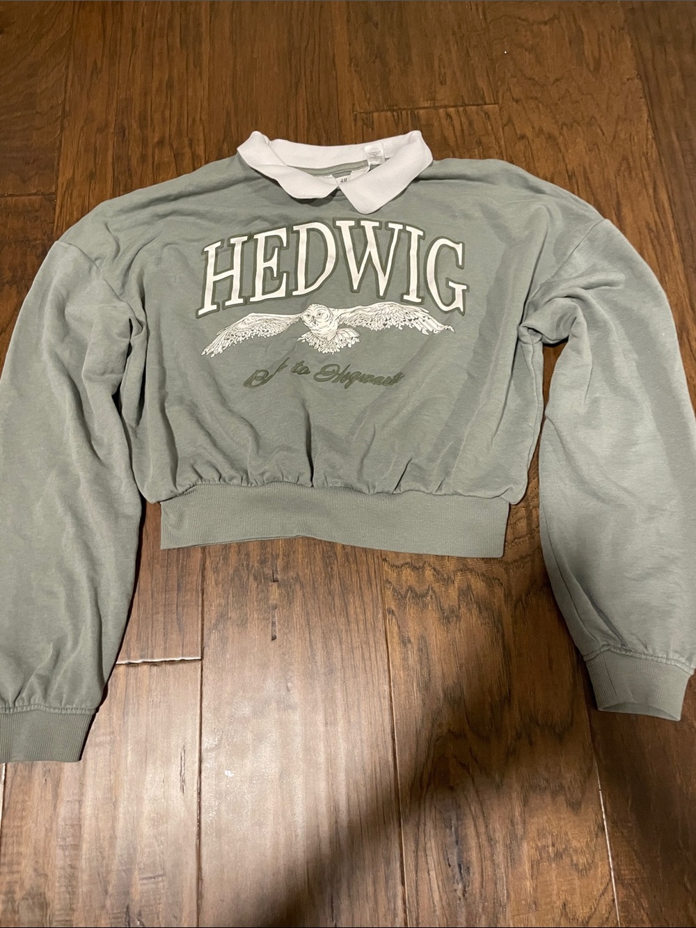 H&M Sage Green Cropped Crewneck Sweatshirt with White Collar